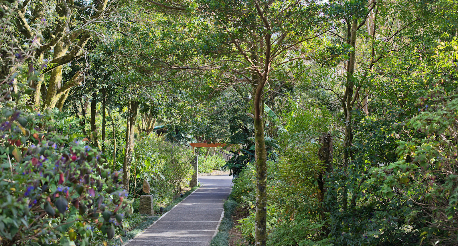 Walkway to guest suites