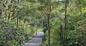Walkway to guest suites