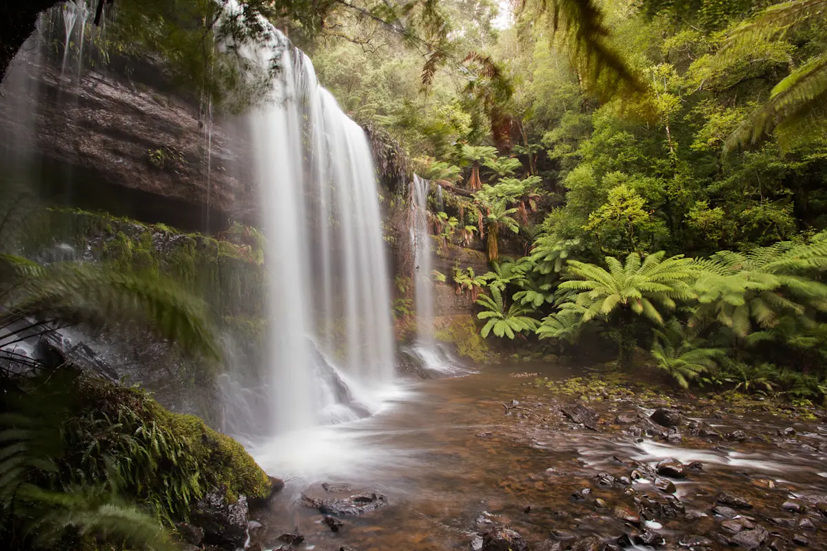 Russel Falls at Mt. Field National Park, Tasmania, Australia.