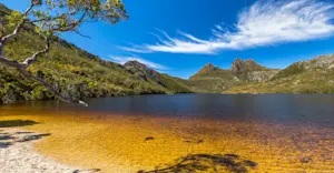 Cradle Mountain–Lake St. Clair National Park, Tasmania, Australia.