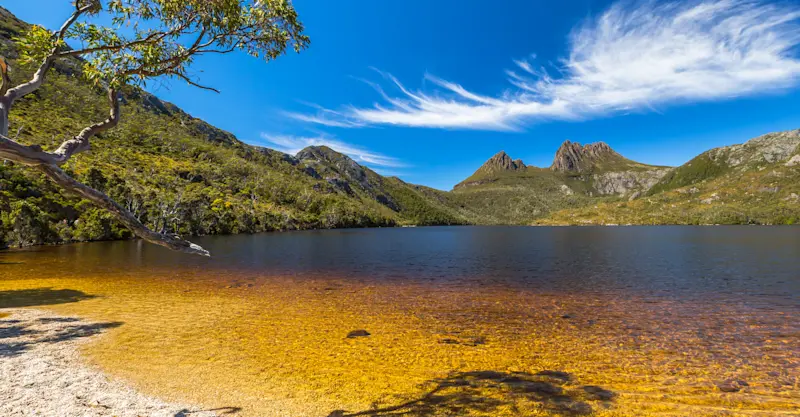 Cradle Mountain–Lake St. Clair National Park, Tasmania, Australia.