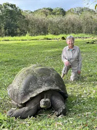 Another giant tortoise at the Galapagos. 