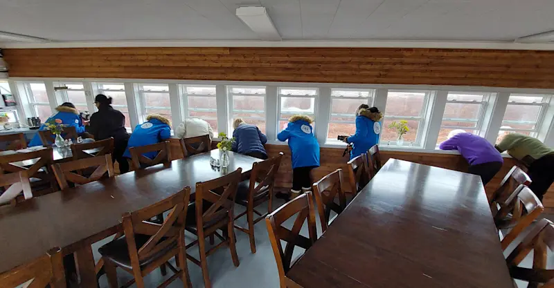 Nat Hab viewing polar bears at the Tundra Lodge, Churchill, Manitoba.
