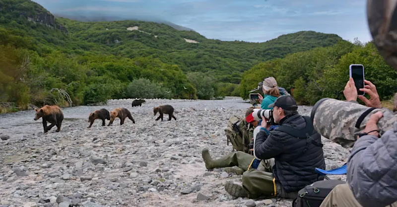 Nat Hab guests and brown bear with cubs, Katmai National Park & Preserve, Alaska.