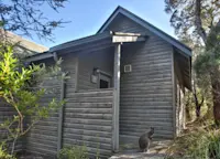 Slideshow Thumbnail 2 of 8