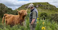 Nat Hab guest and highland cow, Scotland.
