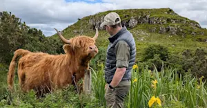 Nat Hab guest and highland cow, Scotland.