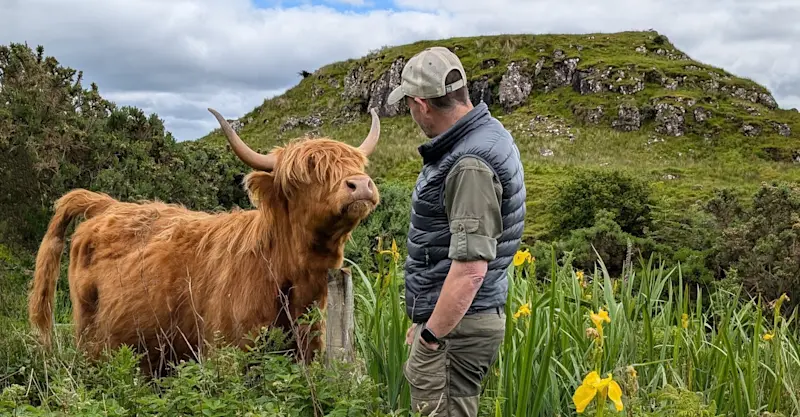 Nat Hab guest and highland cow, Scotland.