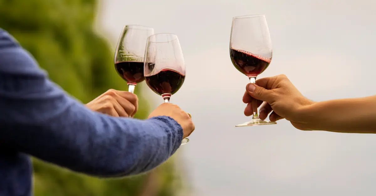 Guests enjoying wine, Argentina. 