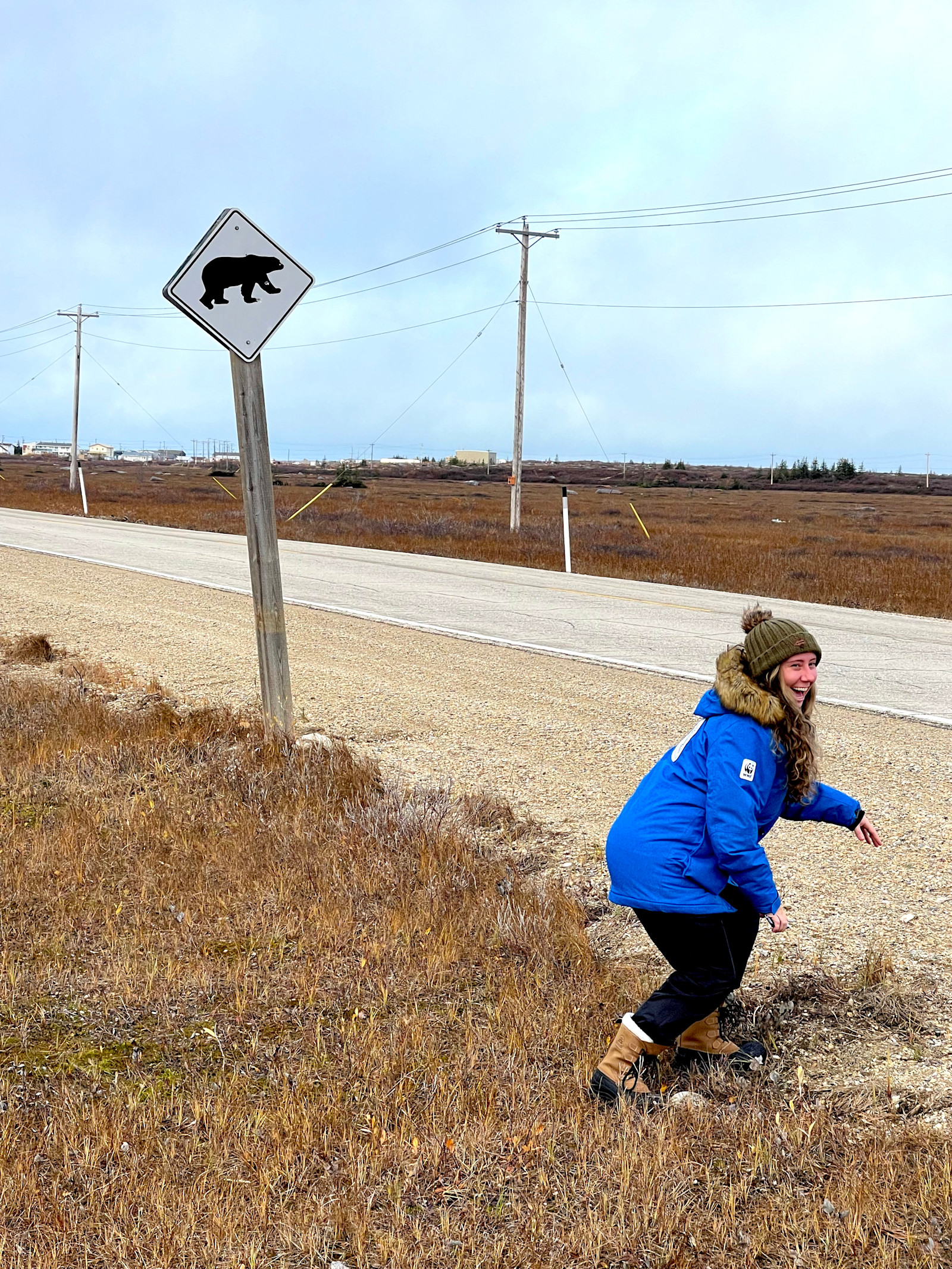Watch out for polar bears crossing in Churchill, Canada!