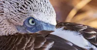 Slideshow Thumbnail 7 of 18