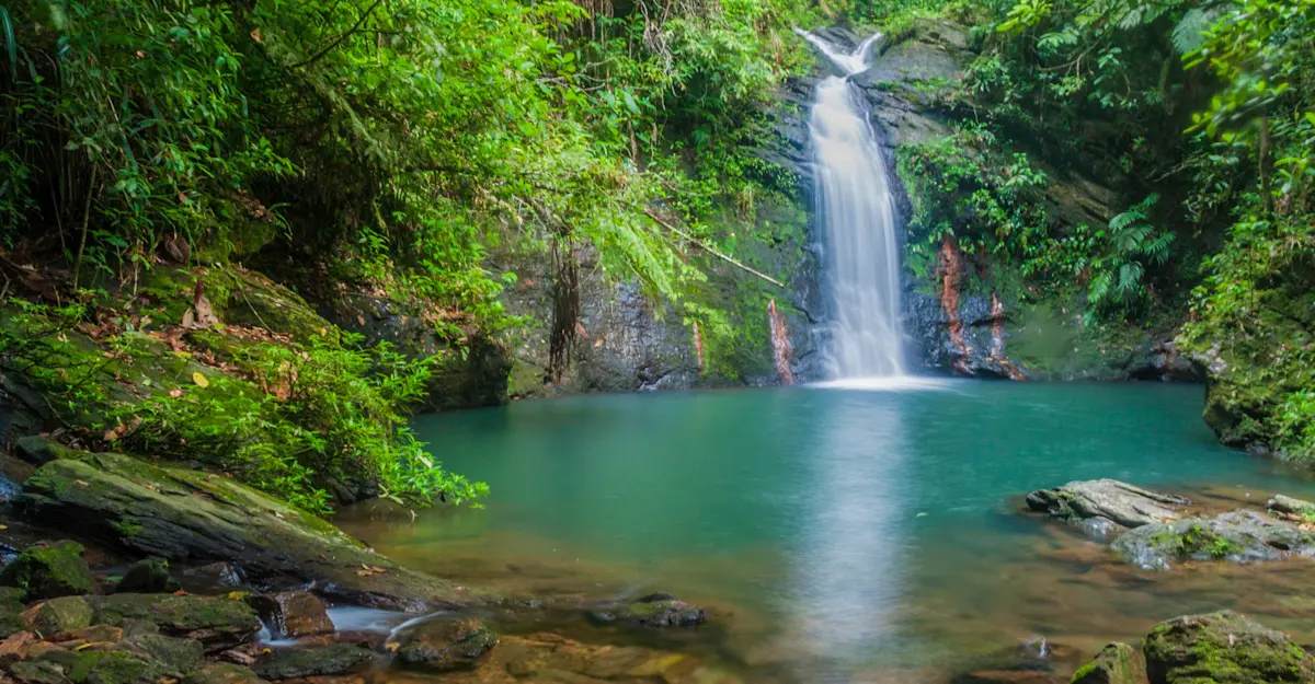 Rainforest waterfall, Cockscomb Basin Wildlife Sanctuary, Belize.