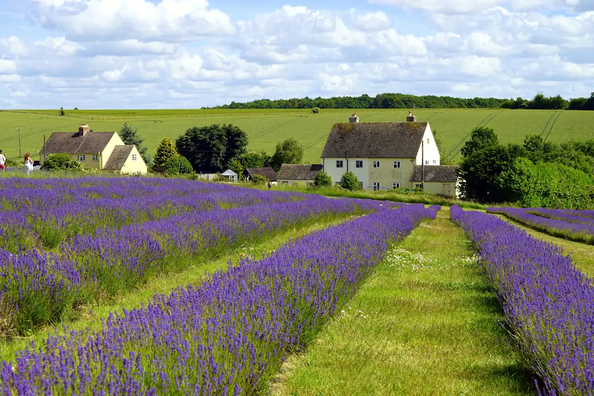 Cotswolds, England.