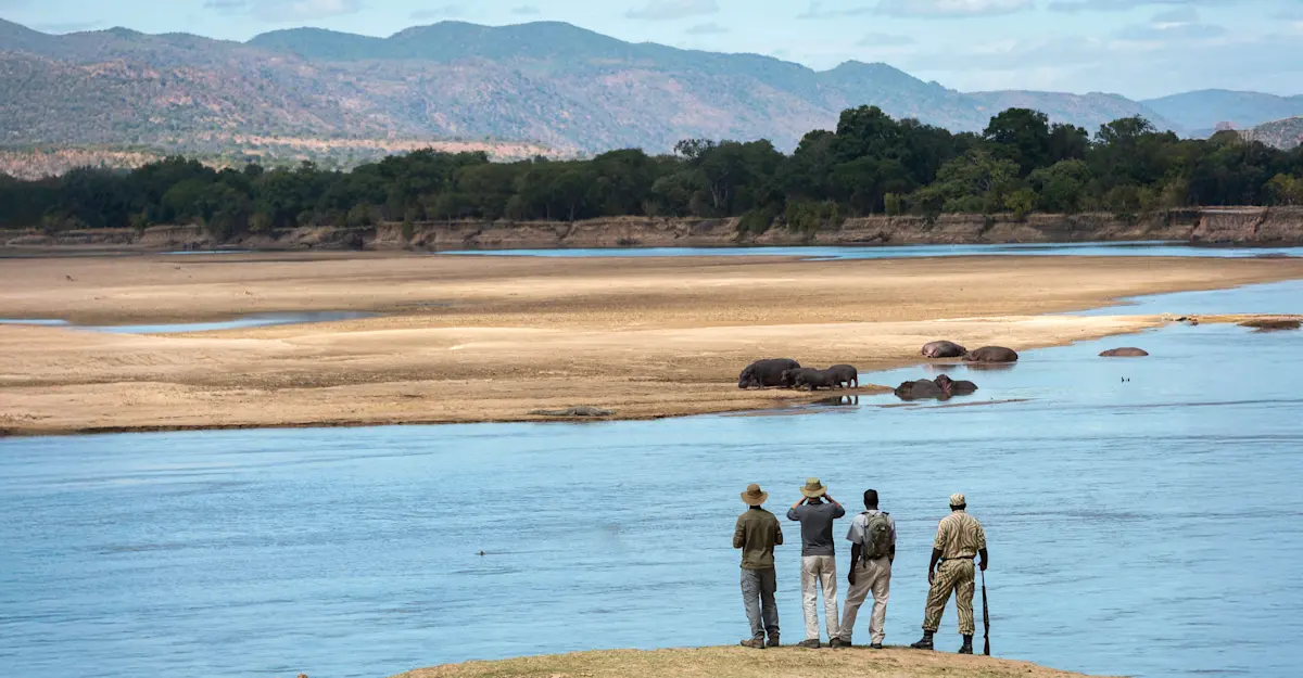 Walking safari, Luangwa Valley, Zambia.