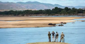 Walking safari, Luangwa Valley, Zambia.