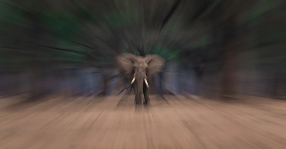 Elephant Bull, Lower Zambezi.
