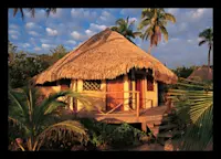 Slideshow Thumbnail 2 of 9