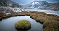 Greenland