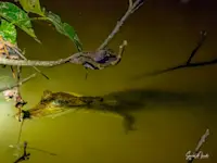 Slideshow Thumbnail 9 of 9