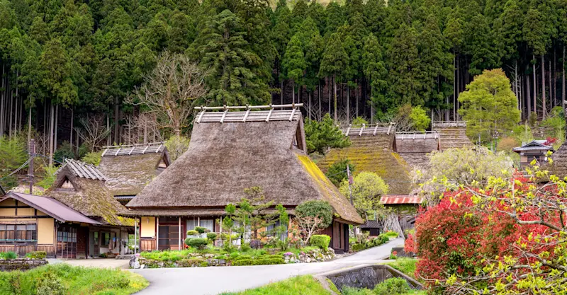 Traditional thatched houses, Miyama, Japan.