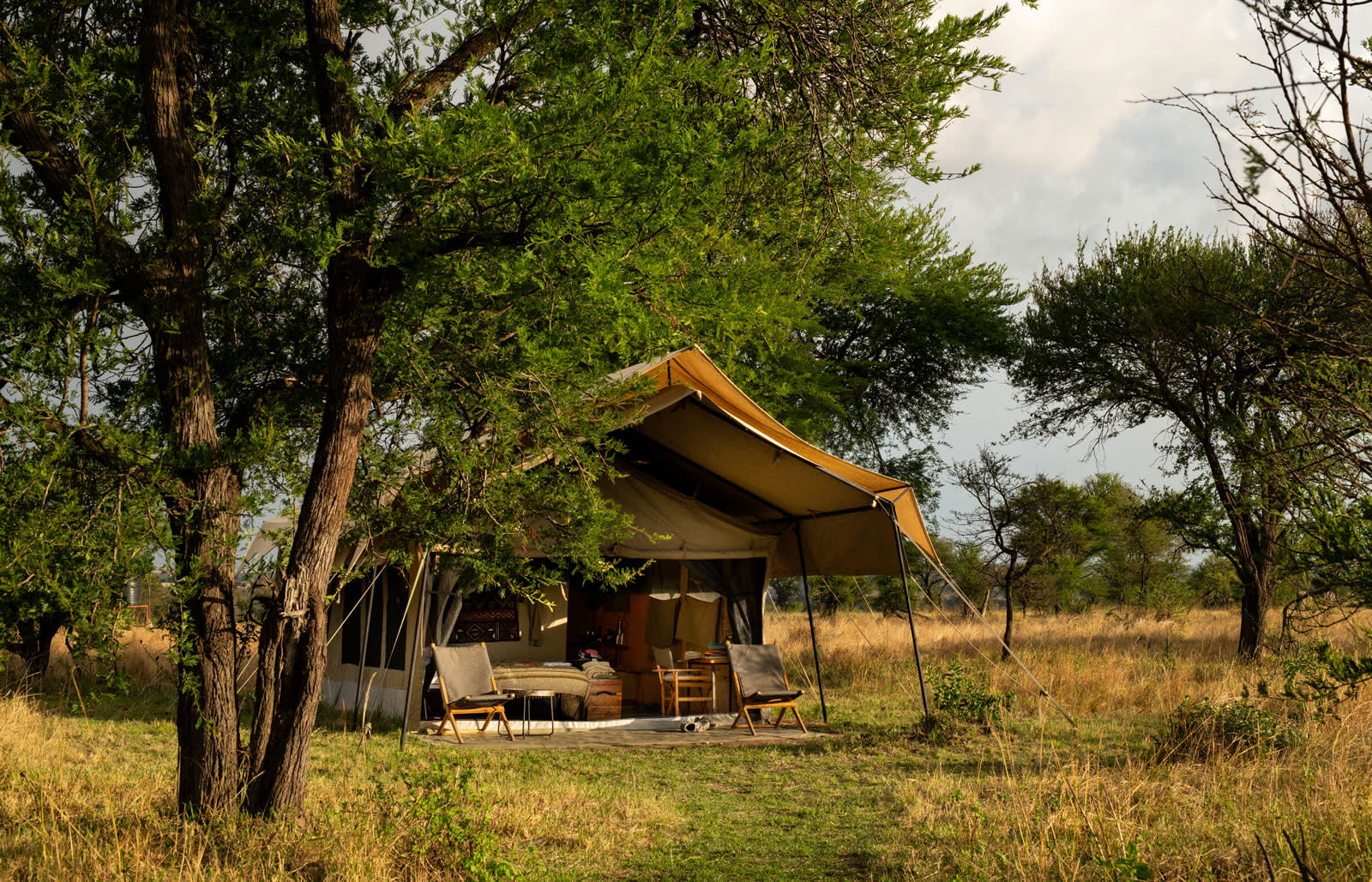 Guest tent at Nat Hab's Migration Camp—Serengeti