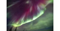 Slideshow Thumbnail 4 of 21