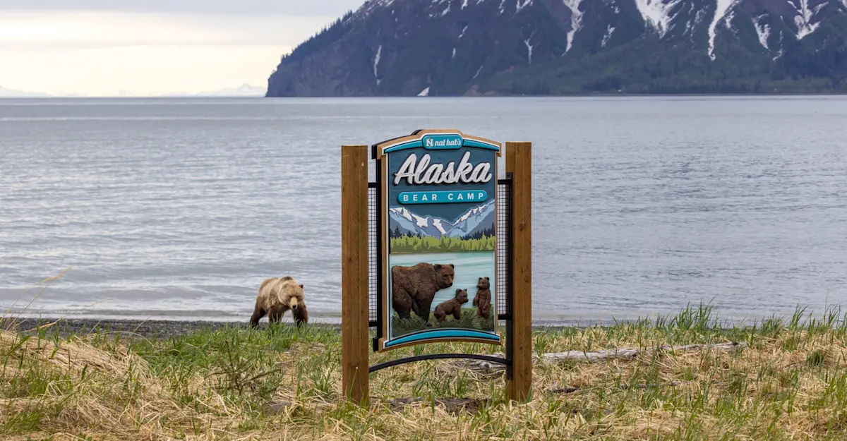 Nat Hab's Alaska Bear Camp, Lake Clark National Park & Preserve, Alaska.