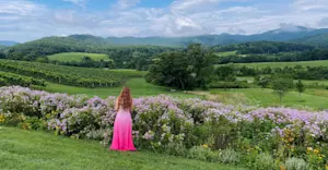 The beautiful Blue Ridge Mountains I call home. 
