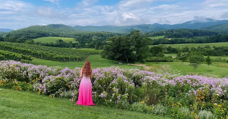 The beautiful Blue Ridge Mountains I call home. 