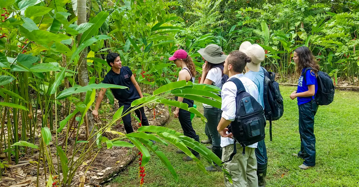 Earthwatch Expeditions guests learn about local flora and fauna, Monteverde Cloud Forest Reserve, Costa Rica.