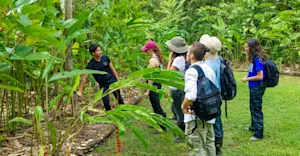 Earthwatch Expeditions guests learn about local flora and fauna, Monteverde Cloud Forest Reserve, Costa Rica.