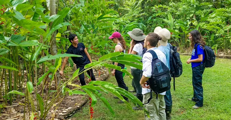 Earthwatch Expeditions guests learn about local flora and fauna, Monteverde Cloud Forest Reserve, Costa Rica.