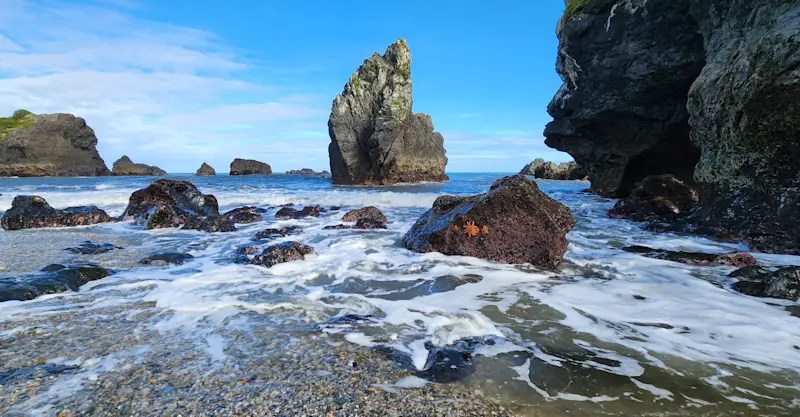 West Coast, New Zealand.