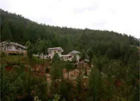 Slideshow Thumbnail 1 of 5