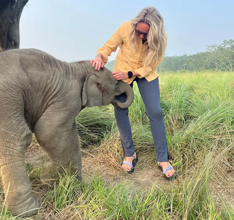 Baby elephant at Chitwan Park, Nepal.