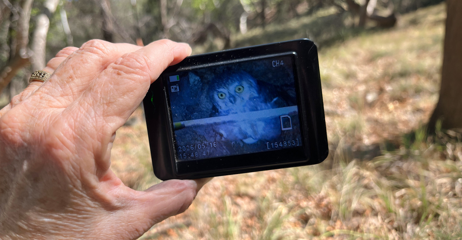 EW-ArizonaOwls michael-hillman 893220