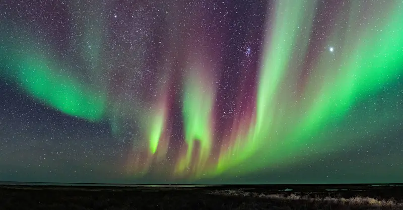 Northern lights, Churchill, Manitoba.