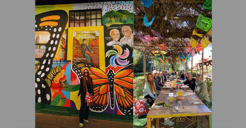 Nat Hab’s Monarch Butterfly Photography Adventure in the volcanic highlands of Mexico was a feast for the senses. 