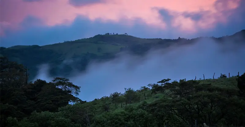 Monteverde Cloud Forest, Costa Rica.