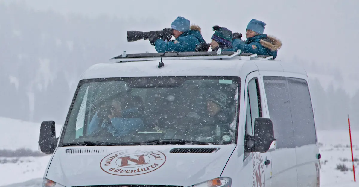 Nat Hab guests, Yellowstone National Park, Wyoming.