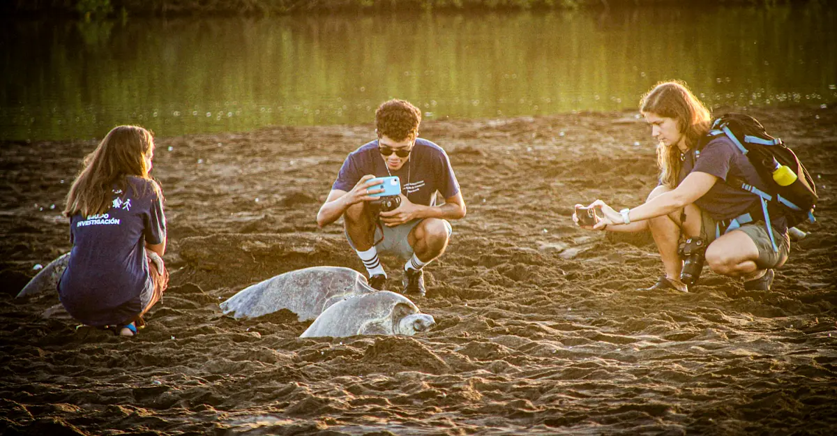 Earthwatch Expeditions guests photographing sea turtles, Playa Grande, Costa Rica.