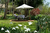 Slideshow Thumbnail 2 of 8