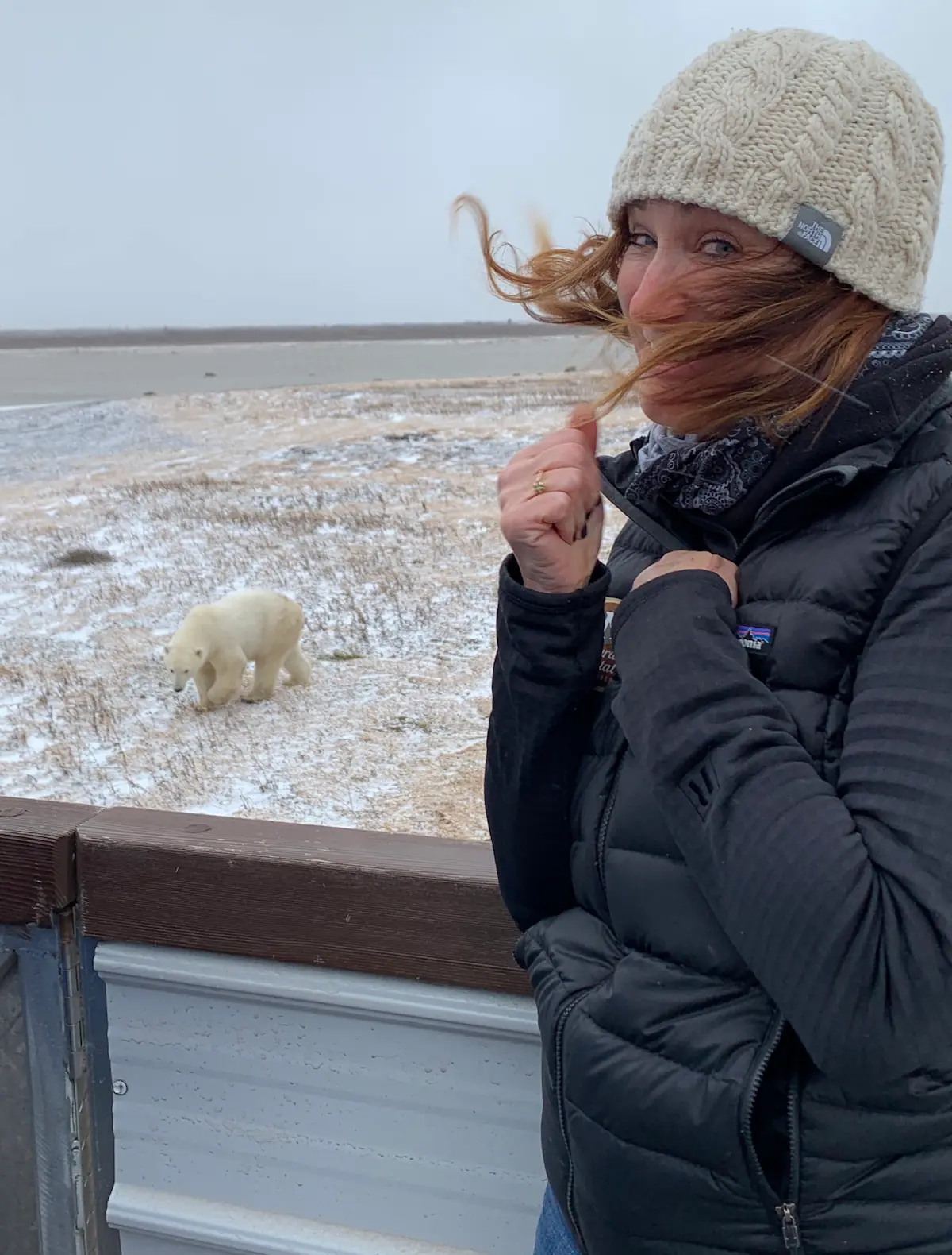 Encountering a polar bear on the tundra in Churchill, Manitoba.