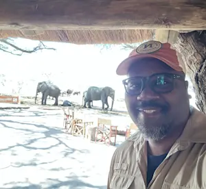 Elephant views in Botswana.