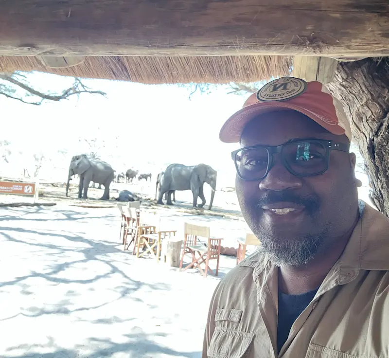 Elephant views in Botswana.
