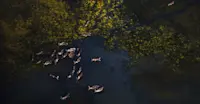 Reindeer from Above