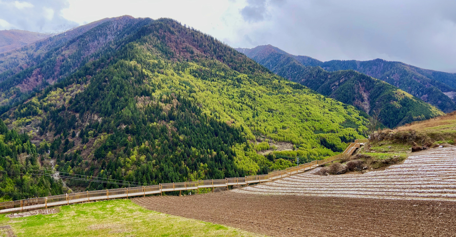 Surrounding landscape