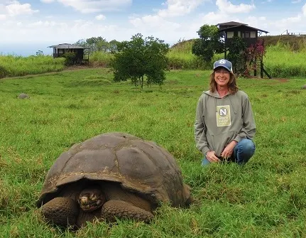 Beforeyougo|suzanne-tortoise-galapagos