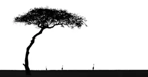 Slideshow Image Thumbnail 10 of 16