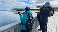 Nat Hab guests, Katmai National Park, Alaska.